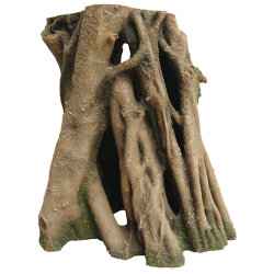 Azalea Root 2, 24 x 19 x 23 cm