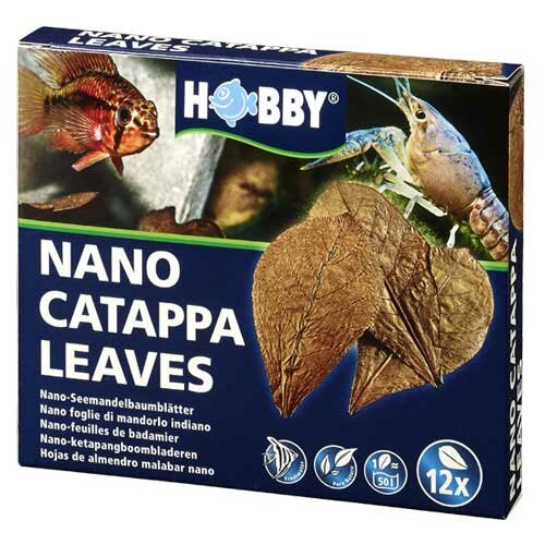 Nano Catappa Leaves  12 St., SB