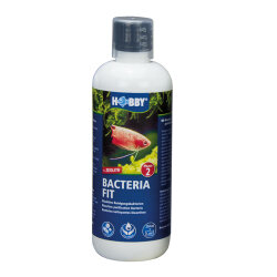 Bacteria Fit 250 ml