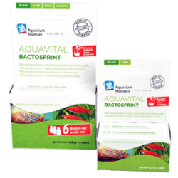 AQUAVITAL BACTOSPRINT 10 ml + 0,8 g