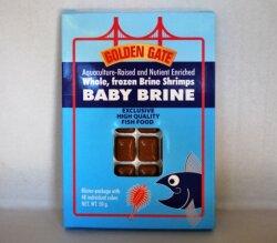 Golden Gate - Baby Artemia (Nauplien) geblistert