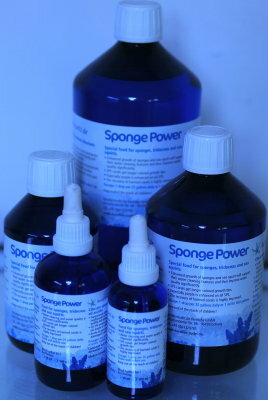 Sponge Power Concentrate 100ml