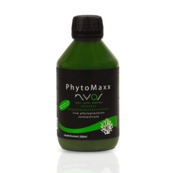 PhytoMaxx 250ml DE/EN