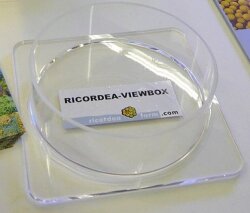 Ricordea Viewbox