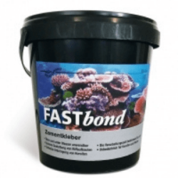 FASTbond Zementkleber 1000g, ist ein feinporiger...